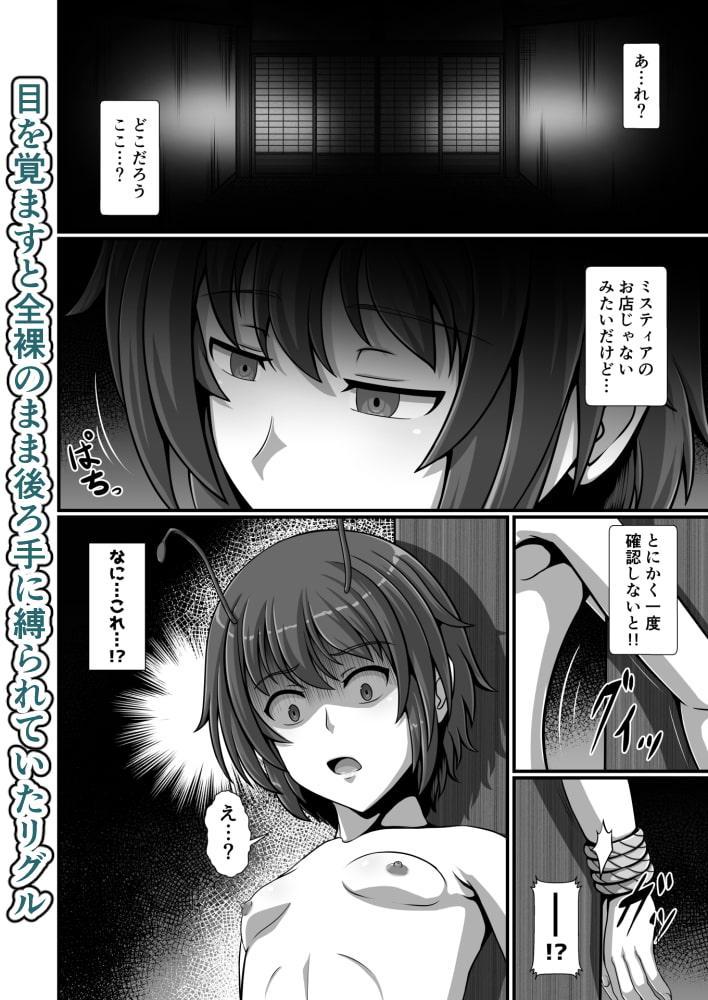 東方催眠絵巻其の肆
