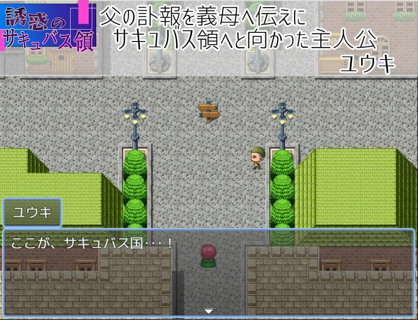 誘惑のサキュバス領