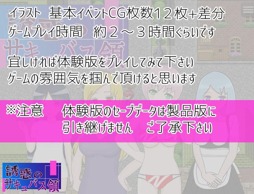 誘惑のサキュバス領