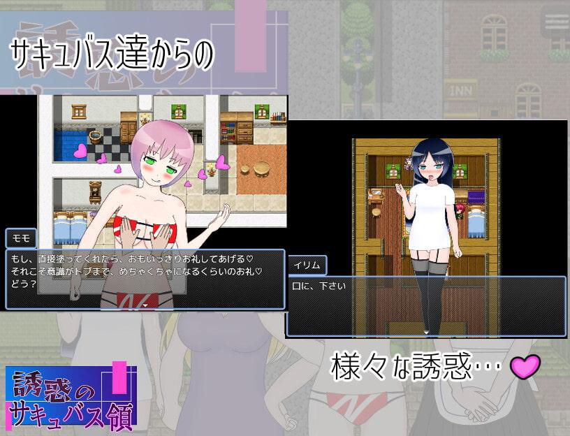 誘惑のサキュバス領