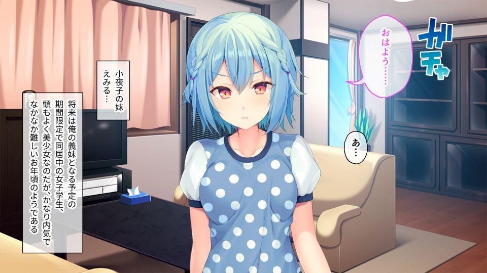 彼女の妹が毎日迫ってくる件 ～ムチムチハラハラ同棲性活～