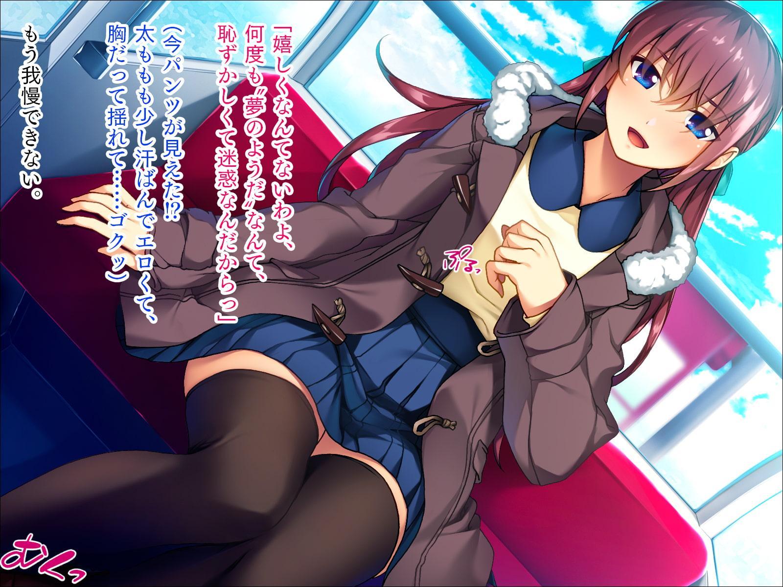 美人生徒会長を縛るっ!