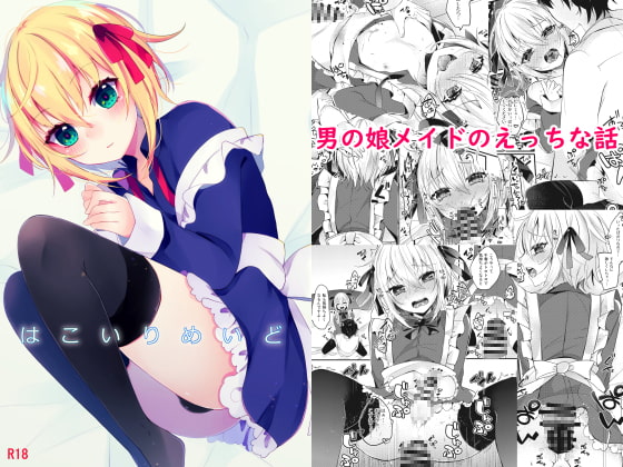 はこいりめいど