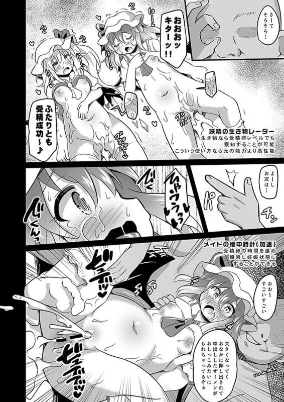 改造アビカでレミフラヤりたい放題