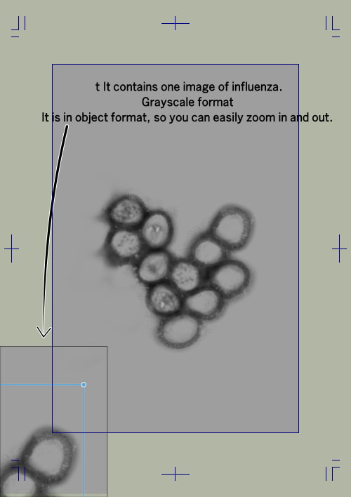 素材をどうぞ『インフルエンザウイルス』