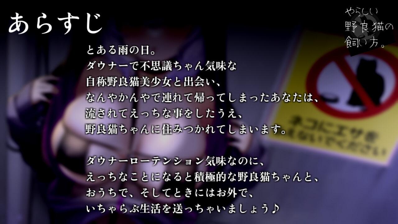 やらしい野良猫の飼い方。 ～ロリ巨乳不思議ちゃん女子といちゃらぶ生活、ヒミツのドスケベ野外えっち～【KU100】
