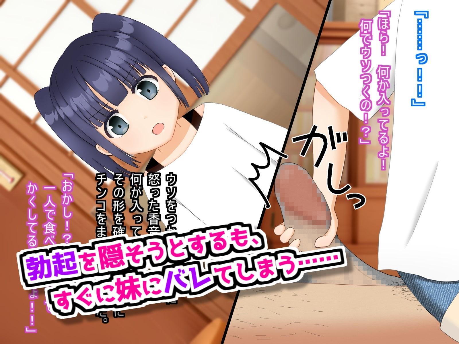 無知な妹とえっちなお留守番