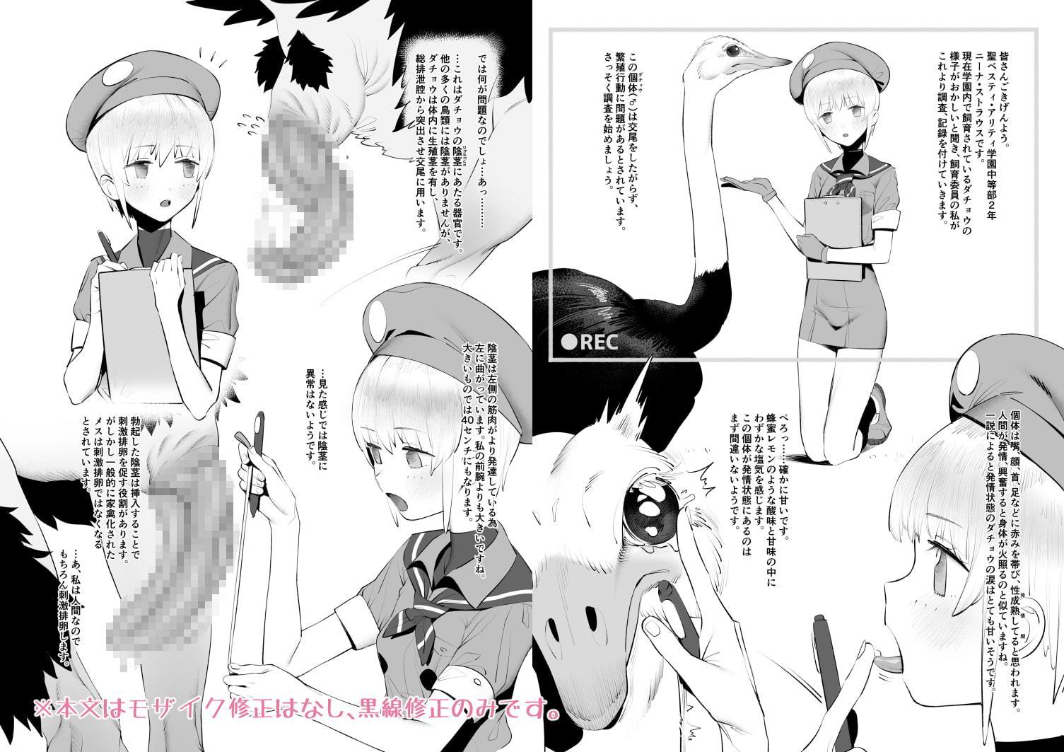 とりのきもちいい