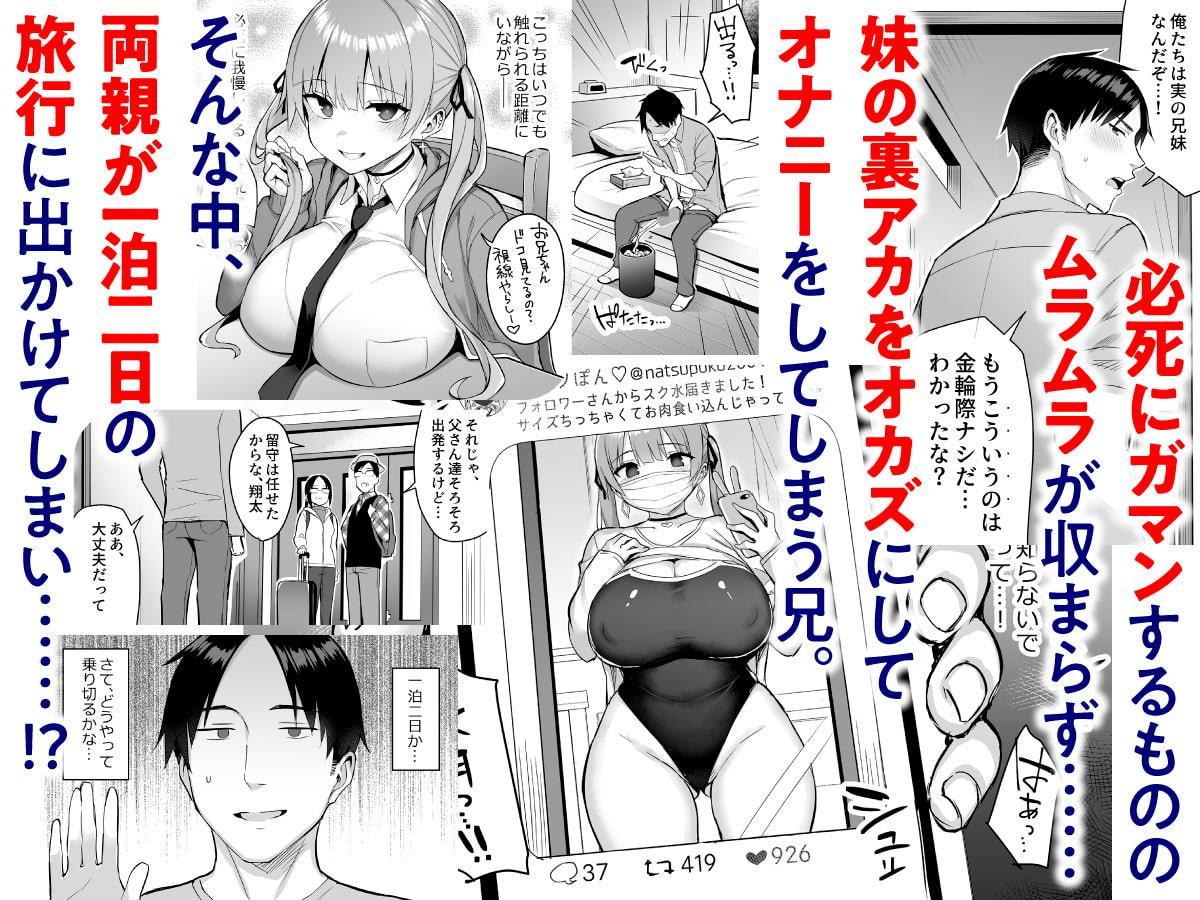 元陰キャの巨乳ヤリマン妹がエロすぎて、お兄ちゃんはもう…!! 2