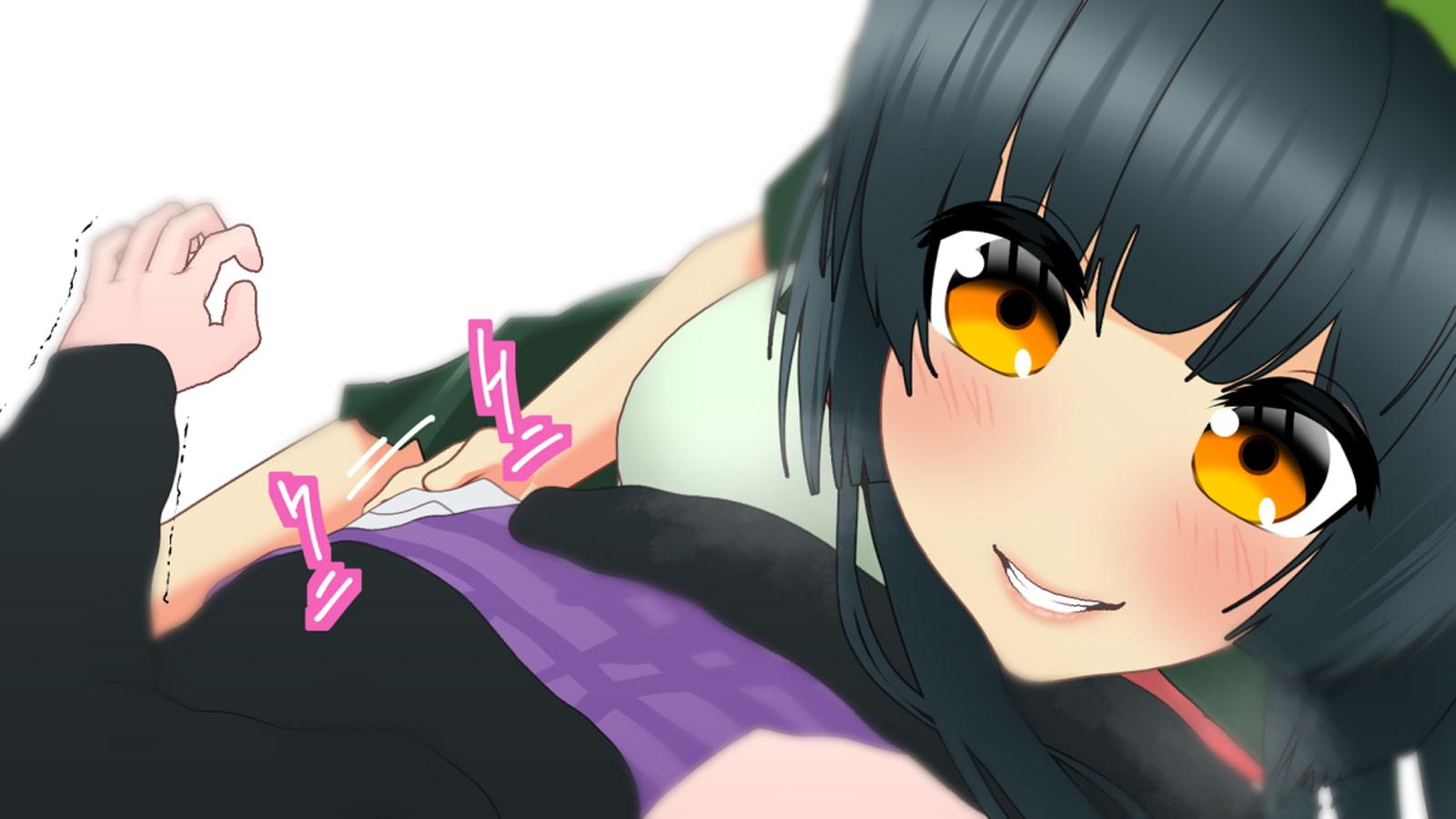 こっしょりよこどりものがたり