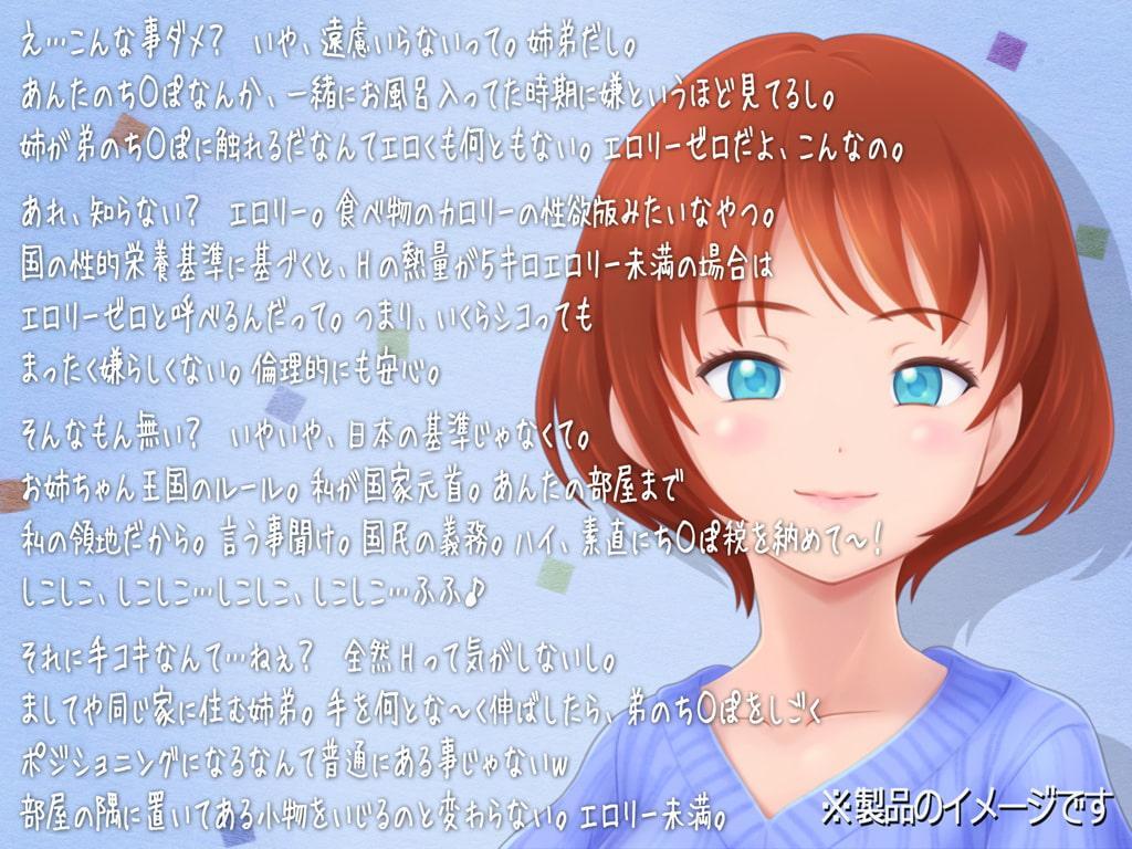 独自のエロリーゼロ理論を振りかざし弟の体を弄ぶ姉