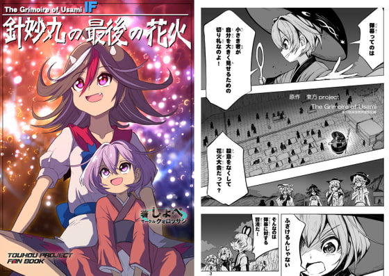 針妙丸の最後の花火