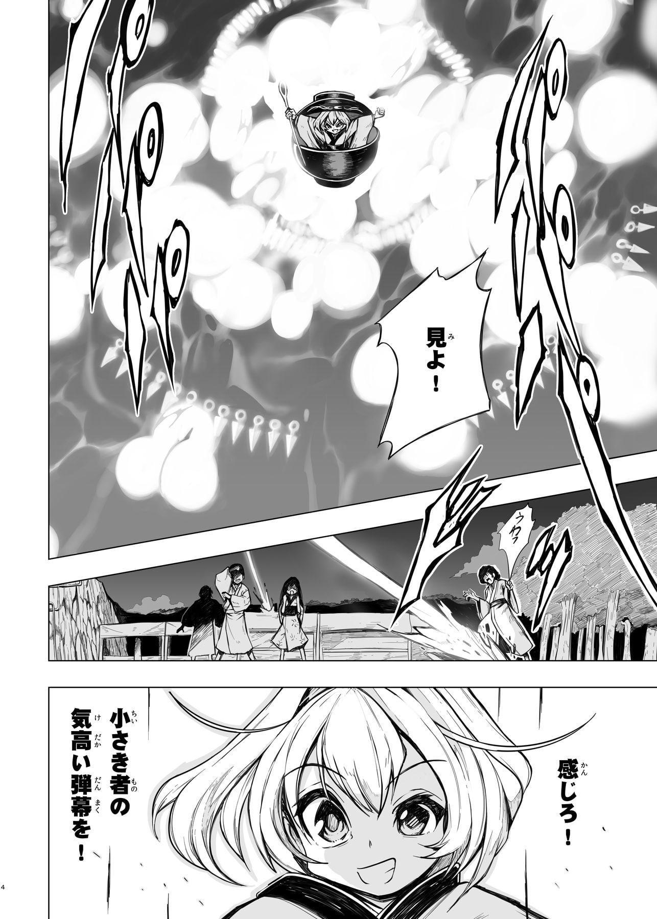 針妙丸の最後の花火