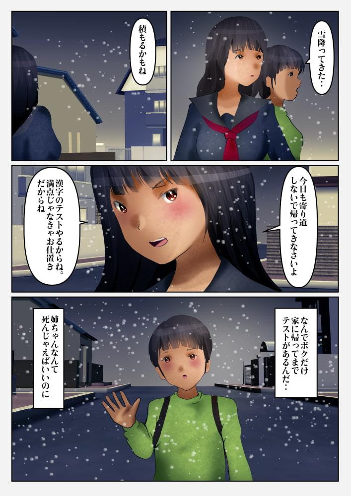 厳格な姉とケダモノ行為を交わした事