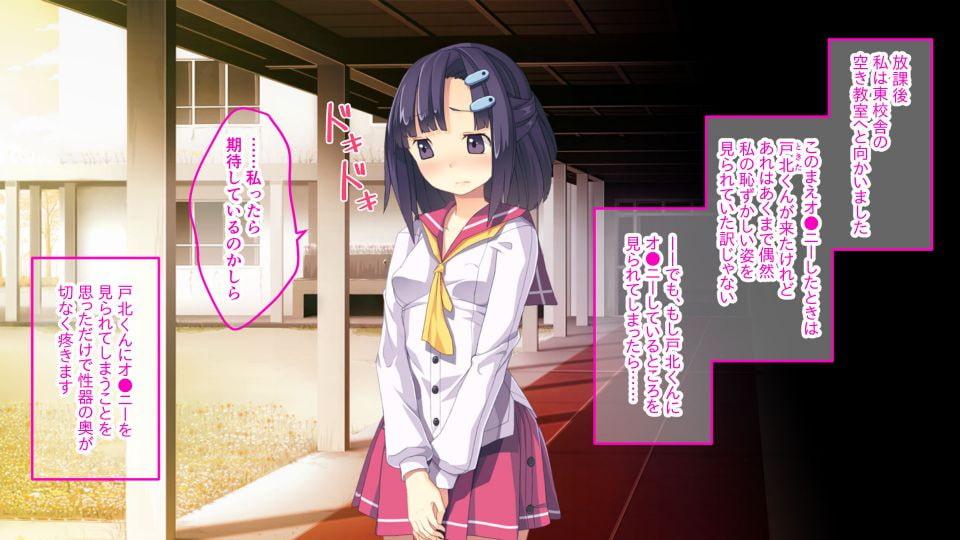 ないしょのひめごと ～お嬢様のやめられない淫らな手～ CGノベル版 後編