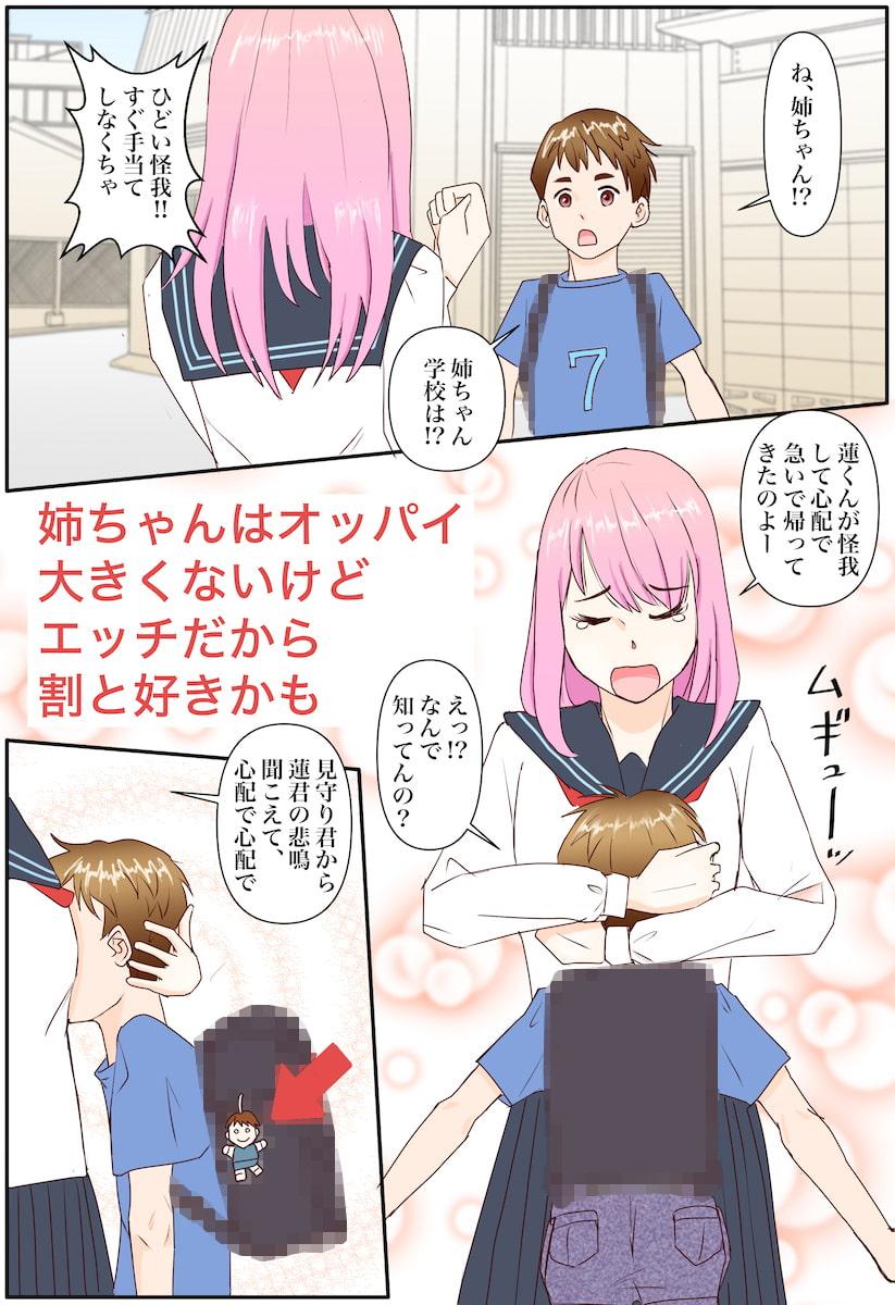 お姉ちゃんはオッパイ大きくないけどエッチだから割と好き