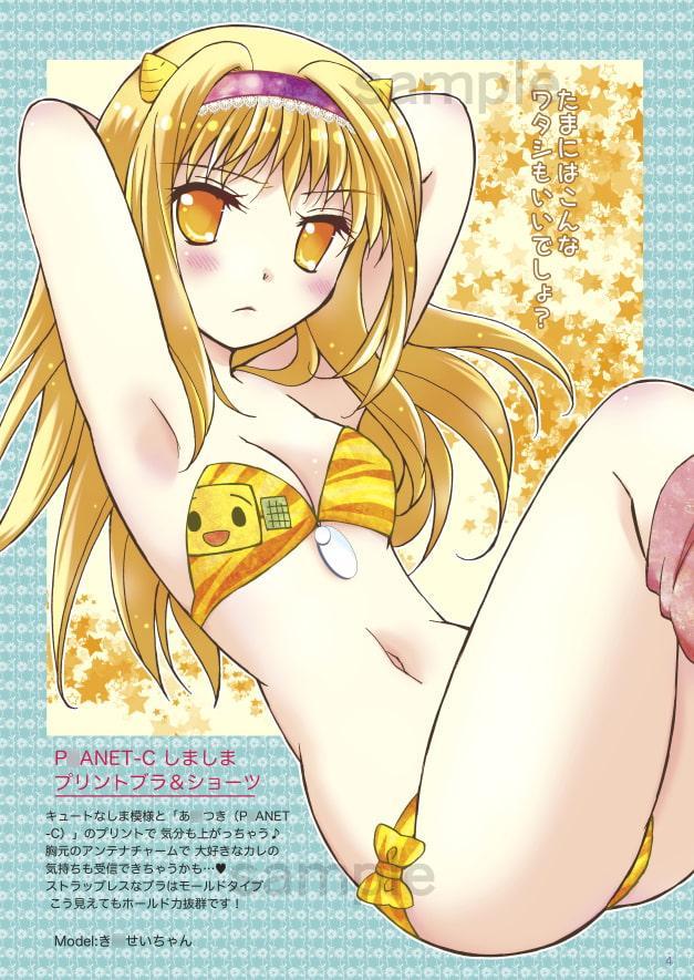 人工衛星ランジェリーカタログ