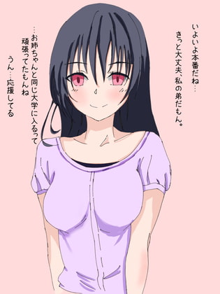 憧れのお姉ちゃんが僕の受験前夜に他の男と寝ているなんて