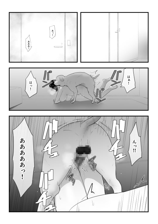 我が家にペットがやってきた3