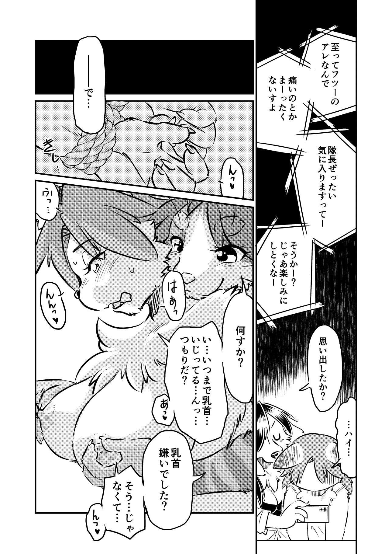 SIN レンズ越しに見たとき