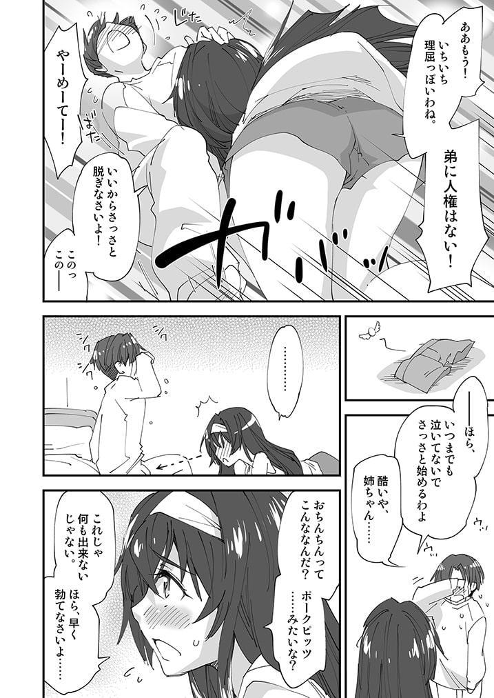弟!お姉ちゃんのえっちの練習に付き合いなさいっ!