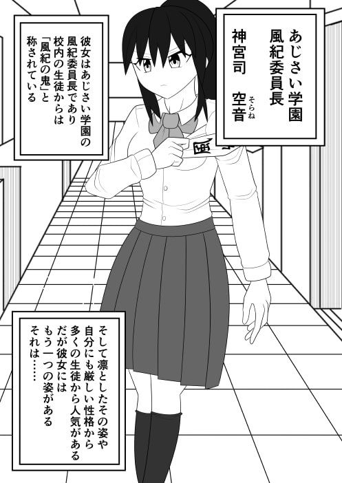 風紀委員長が実は退魔師で裏で花子さんと戦っている話