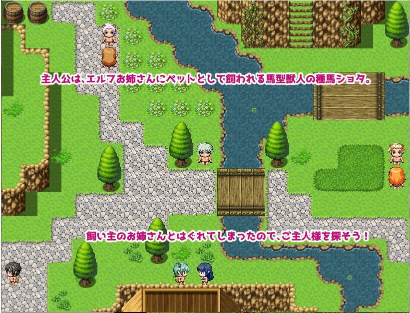 エルフお姉さんによる種馬ショタの種付けセ〇クス ゲーム版