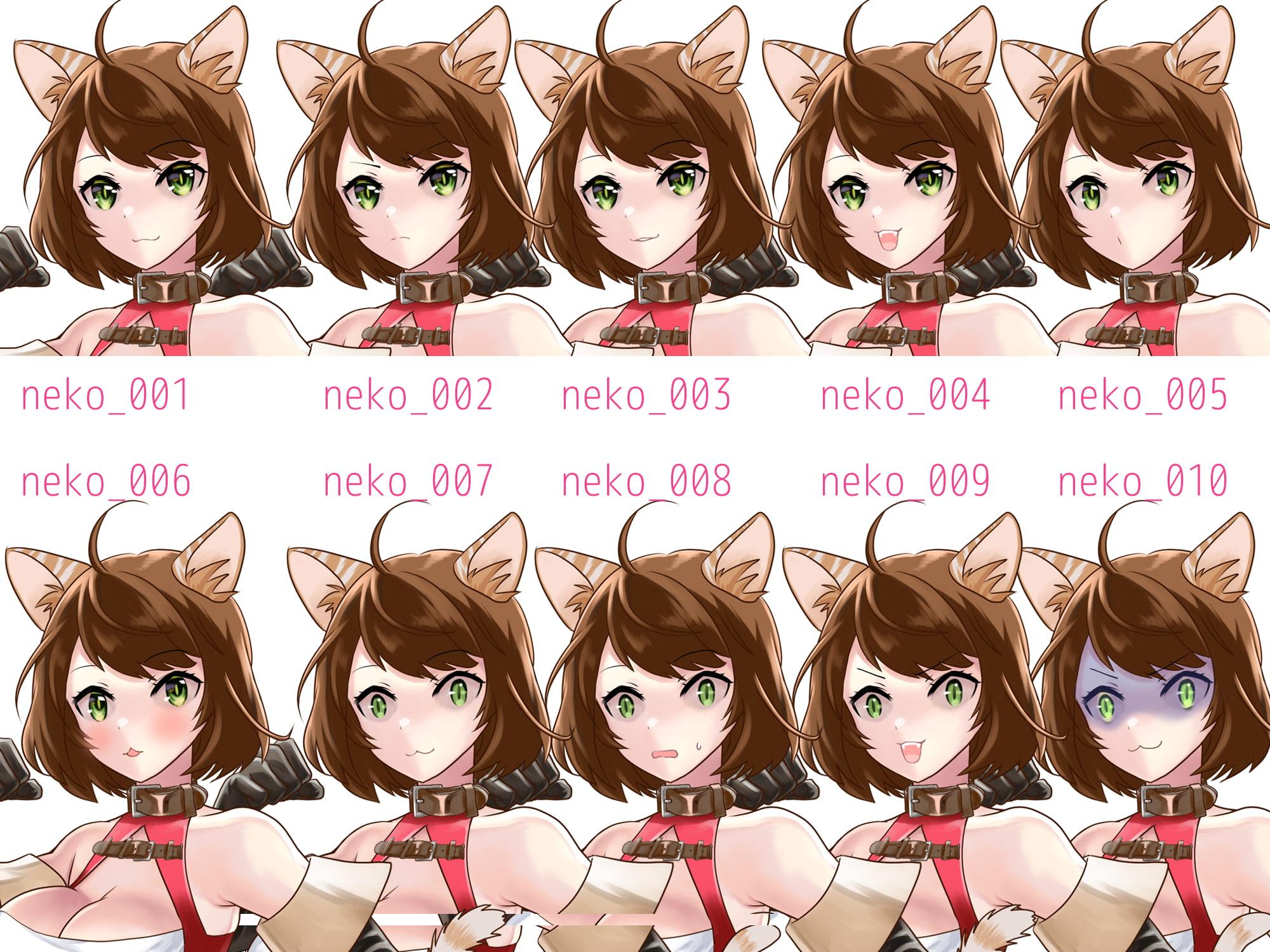 立ち絵素材・格闘家風ねこ獣人