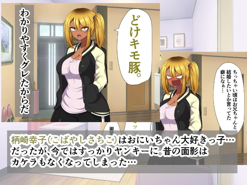 お兄ちゃんの事なんか全然好きじゃねーよバーカ!～ヤンキーの妹がオレのパンツで～