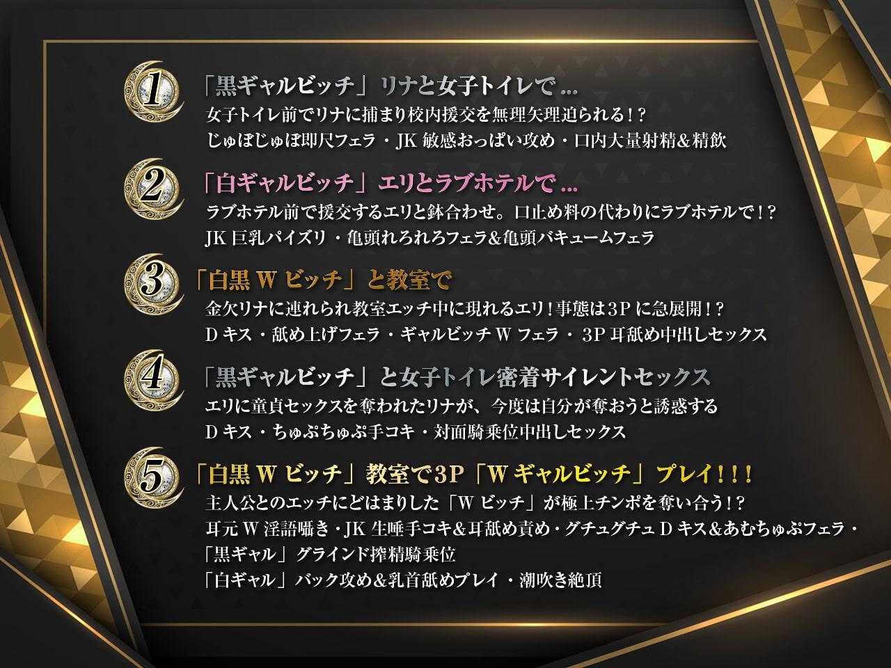 ギャルはめ!おまんこパラダイス!～白黒ビッチがあなたのちんぽを取り合う神展開!?～【KU100/バイノーラル】