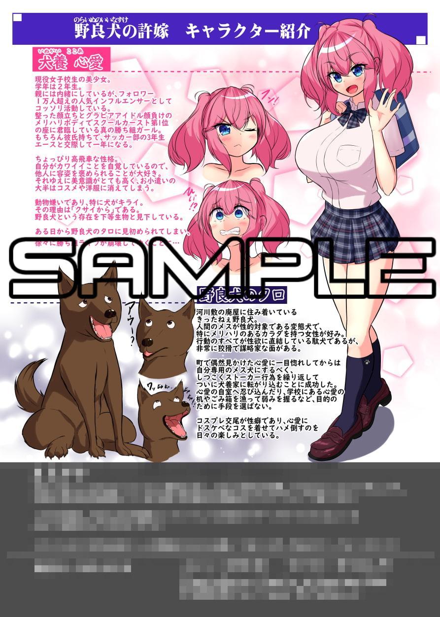 野良犬の許嫁 ART BOOK