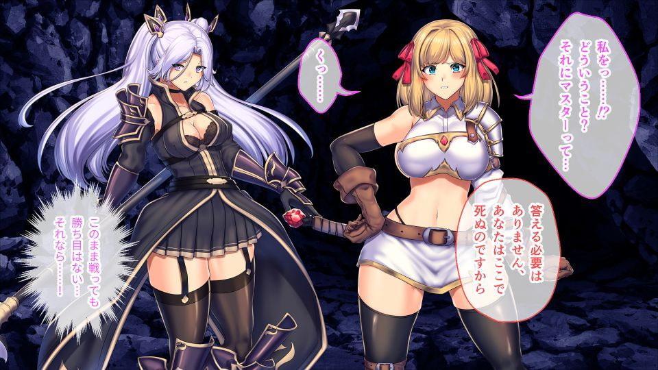 リエッタの淫欲冒険譚 後編 ～決戦!試練の塔～