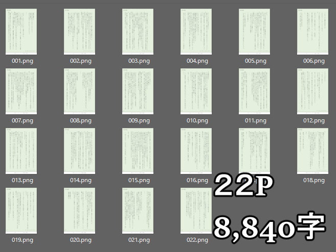 【アー○ナイツ】ヴァ○ミル M.I.A Series[Missing In Action]