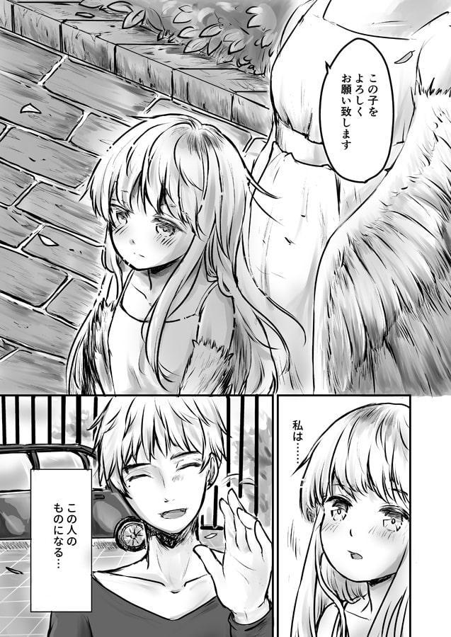 鳥人奴隷、買われる。