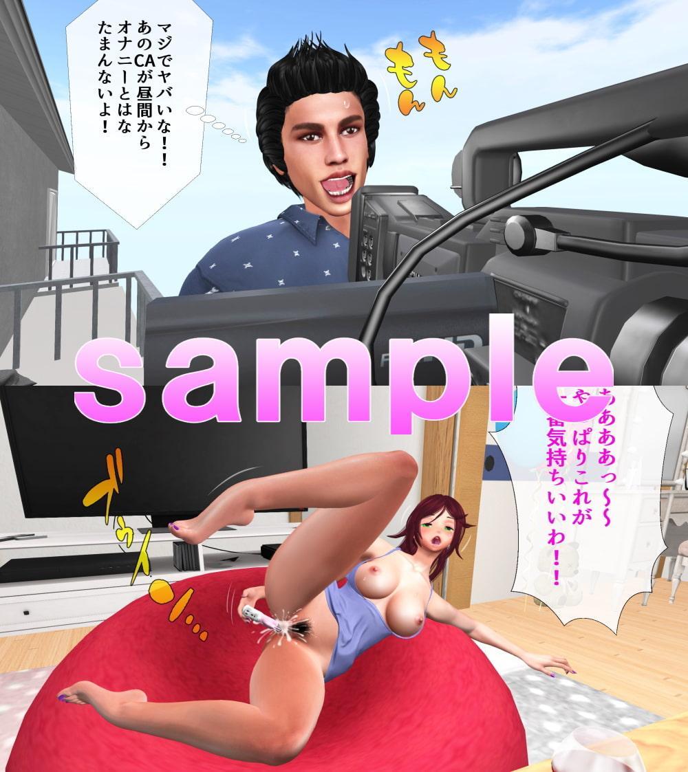 CAの引き裂かれたパンスト