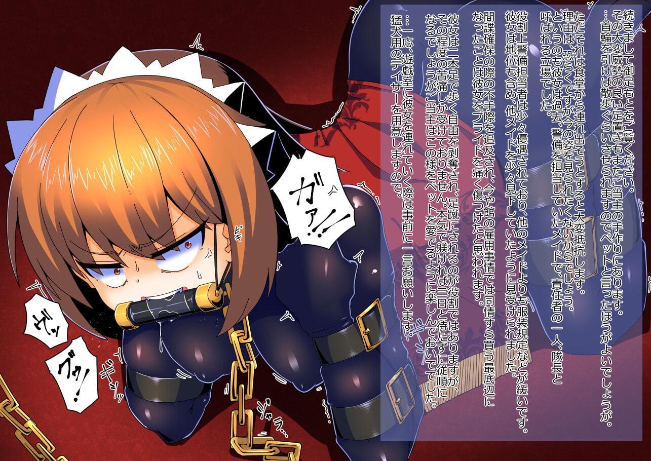 王国貴族の館～ラバーメイド完全拘束調教