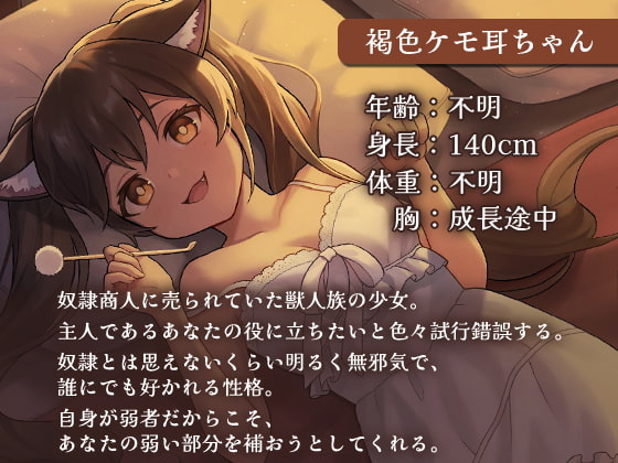 パーティのけも耳娘に癒されて…