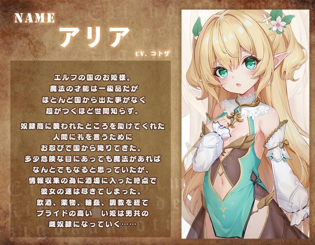 ロリエルフのお姫様 キメセクで犯され奴隷に堕ちる