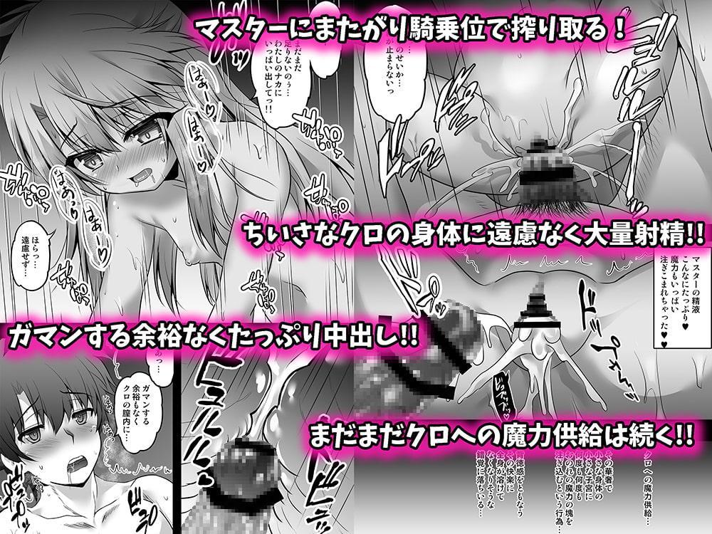 クロが!!イリヤが!!モノ欲し顔で魔力搾取してくる本セット