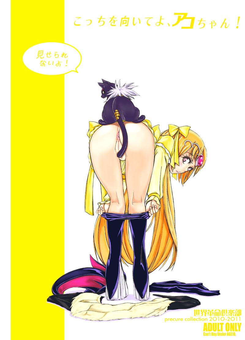 こっちを向いてよ、アコちゃん! 世界革命倶倶楽部