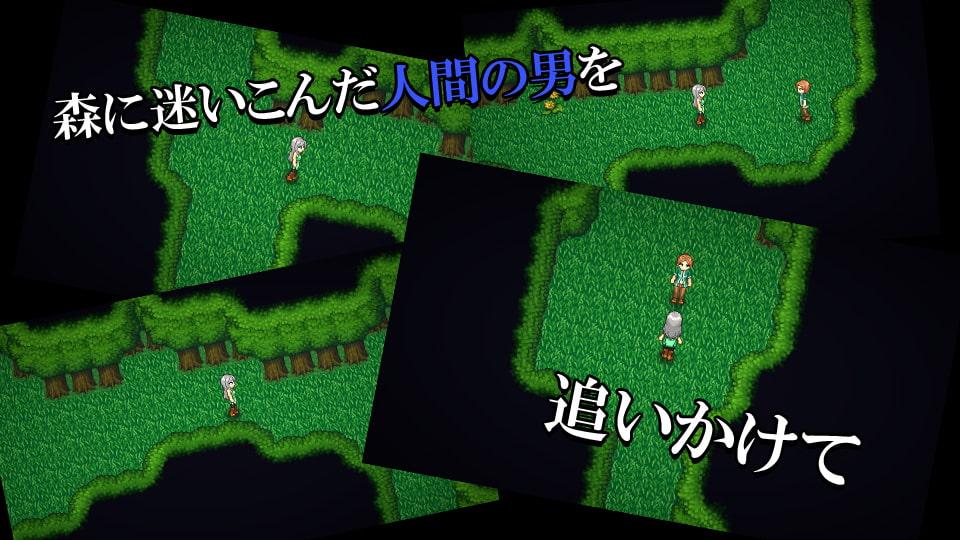 エルフが襲っちゃダメですか?