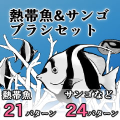 熱帯魚&サンゴブラシセット