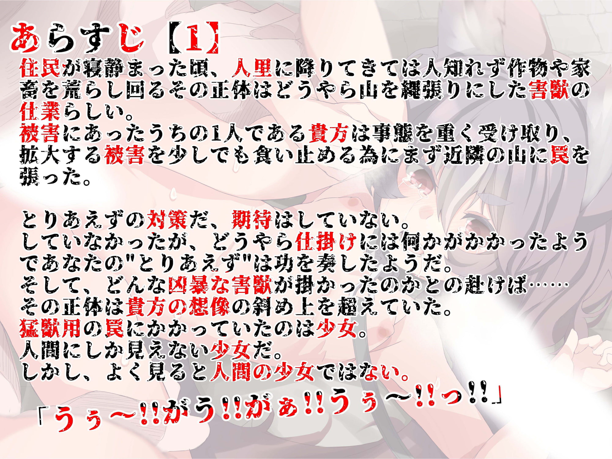 「言葉を話せない」獣耳ロリ娘を捕まえて監禁レイプしてやった【フォーリーサウンド】