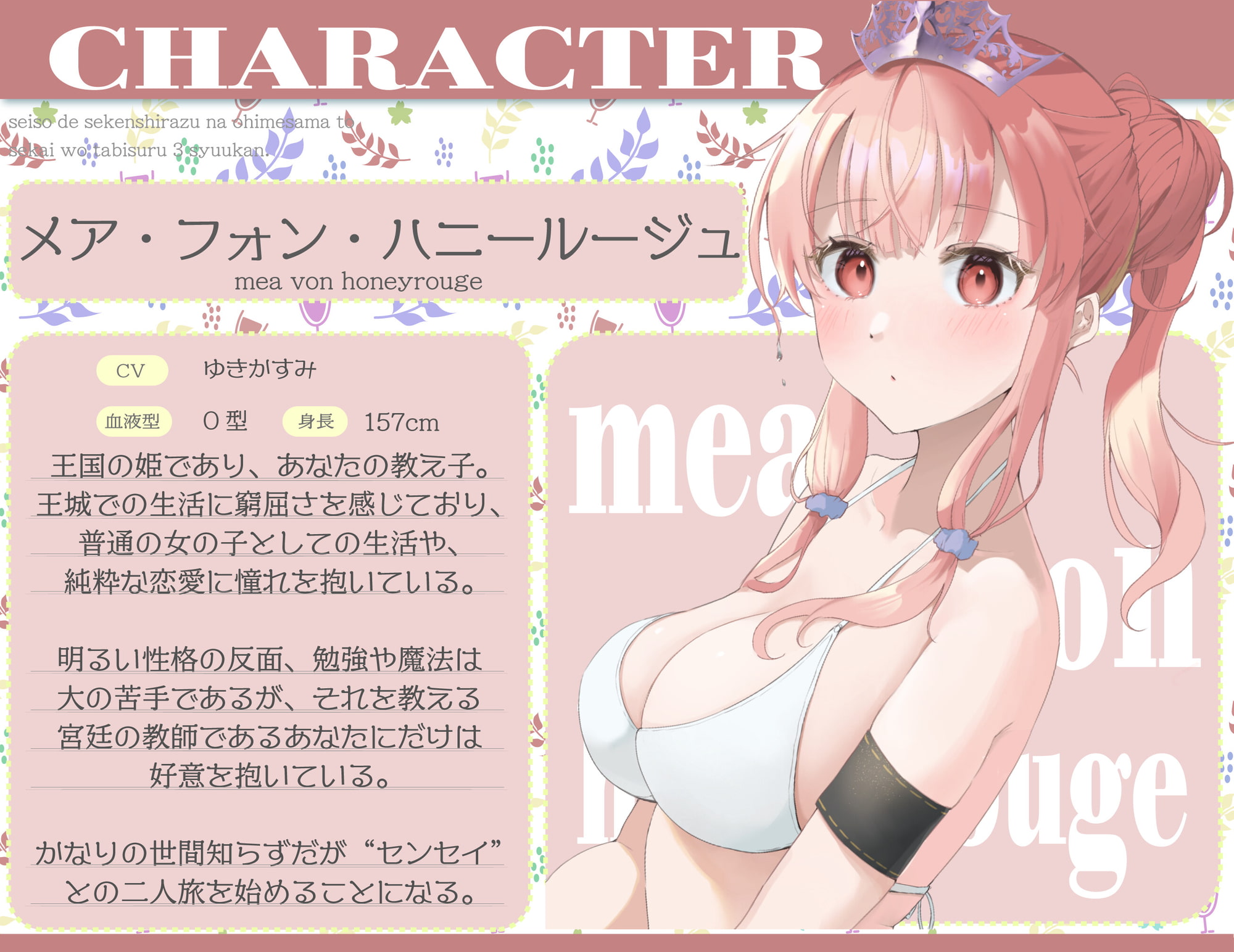 清楚で世間知らずなお姫様と世界を旅する3週間。