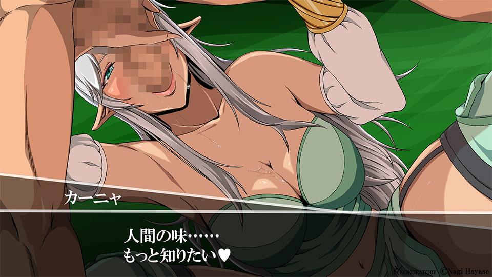 エルフが襲っちゃダメですか?:CGコレクション