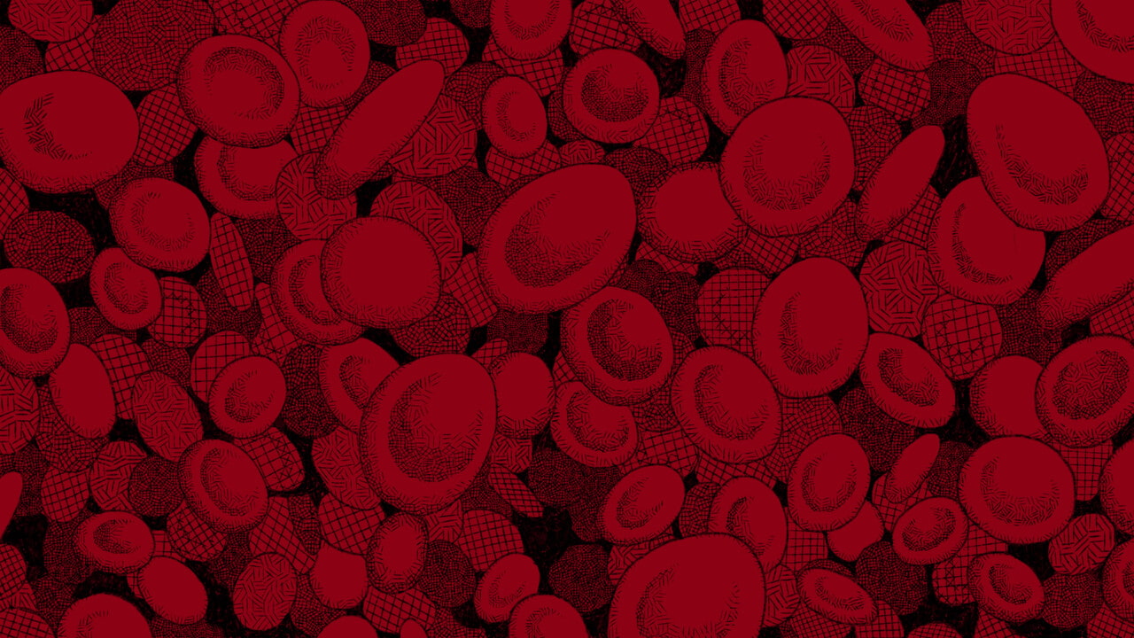 素材付画集・人工心臓