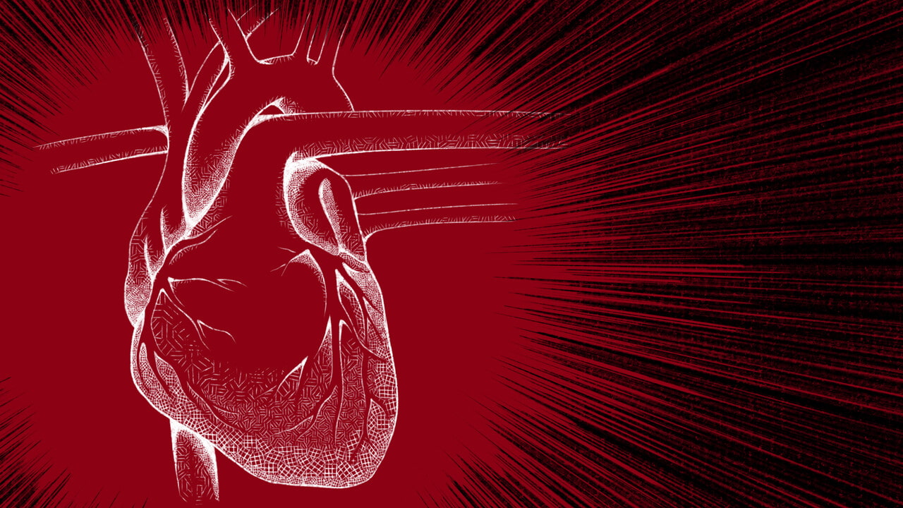 素材付画集・人工心臓