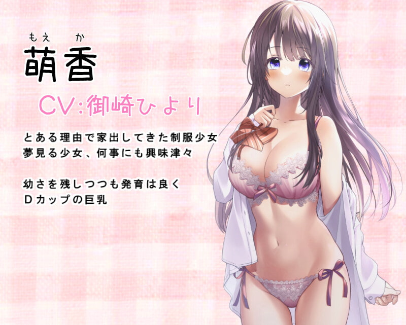 今晩泊めてくれる人、連絡ください。お礼は何でもします～この世界で一番美しい家出のおはなし