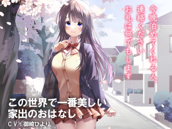 今晩泊めてくれる人、連絡ください。お礼は何でもします～この世界で一番美しい家出のおはなし