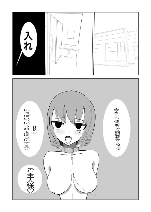 トイレでアイドルを調教